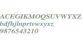 Xerox Serif Wide Bold Italic