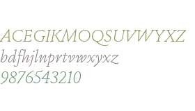 Rizoma Test S ExtraLight