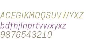 PP Fraktion Sans Light Italic