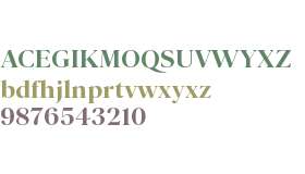 Parnaso Standard Trial Bold