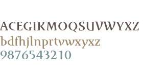 Runa Serif W01 Medium