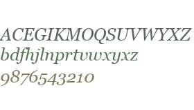 MS Reference Serif Italic