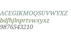 Droid Serif Italic V2
