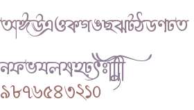Lipishree ANSI