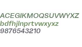 TurkeltonTwo Medium Italic
