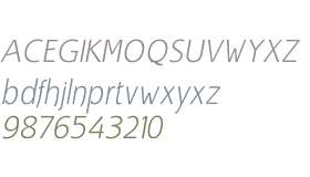 Bjorgi W01 Light Italic