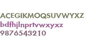 Metra Serif W01 Medium