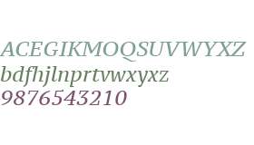 PT Serif Caption Italic V2