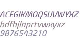 Biome W04 Narrow Italic