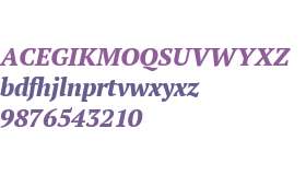 PT Serif Pro Extra Bold Italic