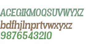 Vacer Serif W00 Italic