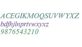 Times New Roman* 327 MONOTYPE Italic