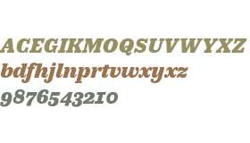 CoFo Robert Black Italic