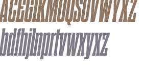Dharma Slab C W03 ExBold Italic