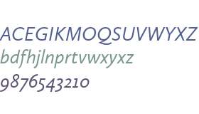 Calluna Sans W01 Italic