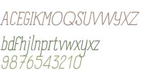 Panforte Serif W00 Light Italic