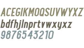 Maxwell Sans W01 Bold Italic