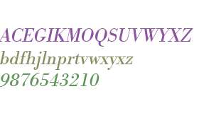 URW Bodoni W01 Oblique