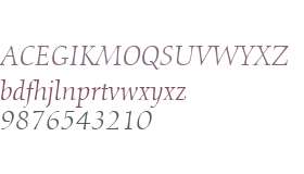 Calligraphic 810 W01 Italic