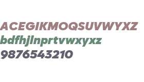 Cadiz Ultra Italic