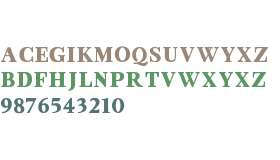 Sonder Serif Bold