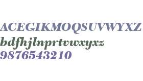 C651-Roman-Black-Italic