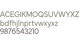 Mundial Narrow Regular