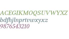 Kostic Serif W00 Italic