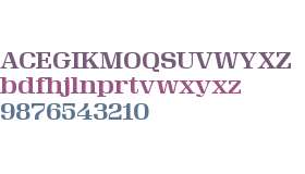 Velo Serif Display Medium