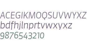 Sanuk Big W04 Light Italic