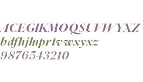 Parnaso Display Trial Bold It