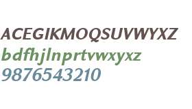 GHE Arpi Sans W01 Bold Italic