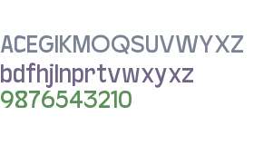 Baji Standard Medium