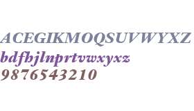 URW Janson W01 Bold Italic