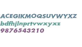 Metra Serif W01 Bold Oblique