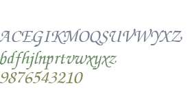 ZurichCalligraphic Italic V1