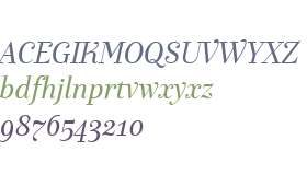 Exquise FY W01 Italic