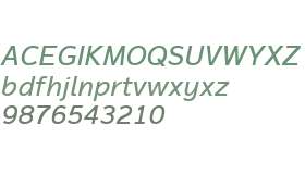 Magnum Sans W01 Medium Italic V1