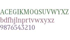 Generis Serif W01 Medium