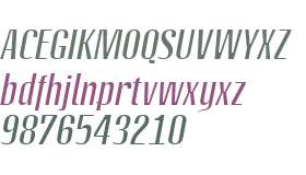 Octane LT W01 Italic