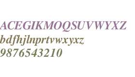 Free Serif Bold Italic