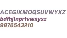 Heltar Test Bold Oblique