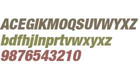 Helvetica Neue LTW0697BlkCnObl