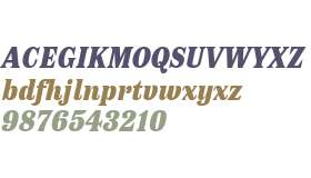 Antica Black Italic