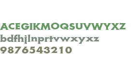 Metra Serif W01 Bold