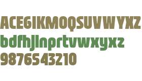 Nasional Sans Black