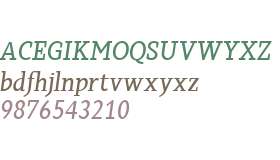 Sky Serif W01 Medium Italic