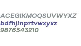 Salvatore Bold Italic