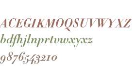 Didot-HTF-B06-Bold-Ital