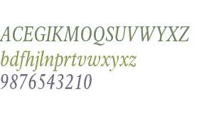 Rawlinson Cond Regular Italic